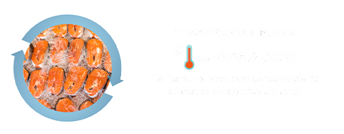Alimentos Congelados